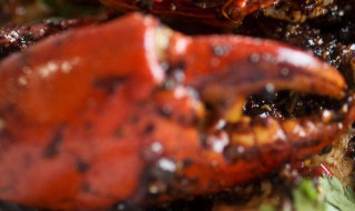 蟹的里面壳上黑黑的可以吃吗 吃了会怎样