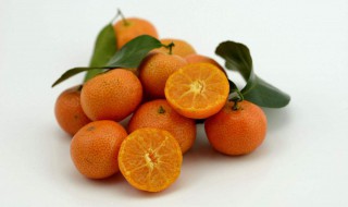 沙糖桔怎么过冬 多少温度适宜