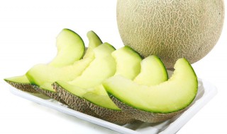 甜蜜瓜种法 这几点很重要