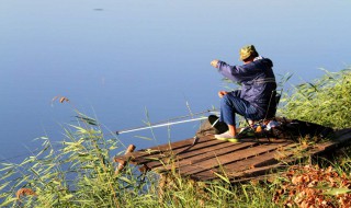 东莞水道鱼可以吃不 什么地方的鱼不能钓来吃