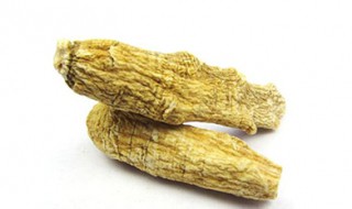 力参的功效与作用 力参别名