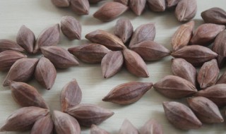 潮汕乌榄腌制方法 具体方法总结