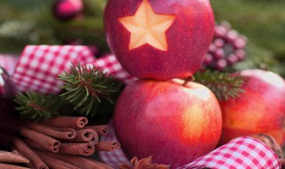 盆栽苹果树嫁接 你知道方法吗