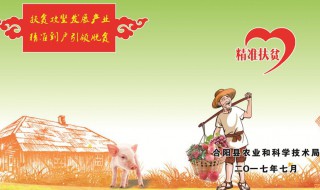 中央扶贫发展资金是什么作用和什么用途 你知道吗