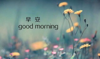 早安心语优美的短句子 让你元气满满
