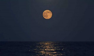 天涯共此时的上一句 整首诗的意思是什么