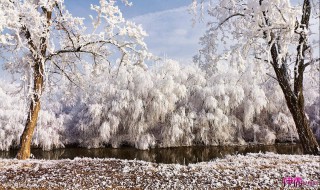 描写冬天的好句 描写冬季的好句
