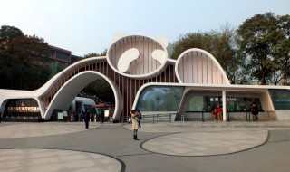 成都东站到熊猫基地多少公里 其实离得不远