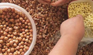 鸡头米怎么煮长 需要什么材料