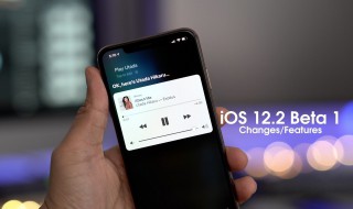 ios13键盘震动怎么设置 键盘打字怎么震动