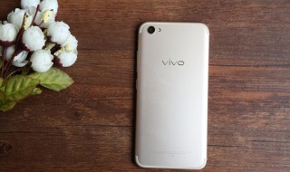 vivoz5x内存是多少 vivoz5x参数