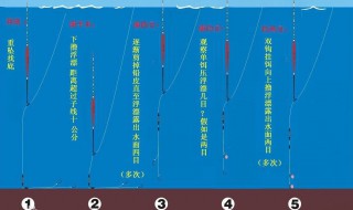 空钩逗钓的技巧 如下