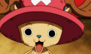 乔巴技能加点 海贼王燃烧意志乔巴最强技能加点详解