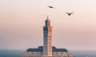 梦见进塔是什么意思 有什么征兆