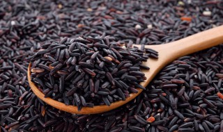 黑米是碳水么 黑米的营养成分