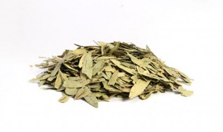 番泻叶的功效与作用 番泻叶用法用量