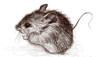 正月蛇二月鼠的说法 原来是这样说的