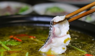 乌鱼汤的做法 清炖乌鱼汤的做法