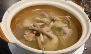 男孩吃鸽子汤的好处 带你深入了解