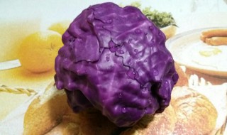 紫甘蓝汁的做法 紫甘蓝汁怎么做