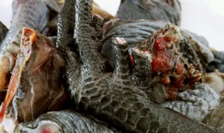 女人吃乌鸡的好处 女生们快来看看吧