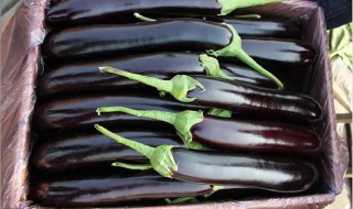 虎皮茄子卷做法图解 步骤分享给大家