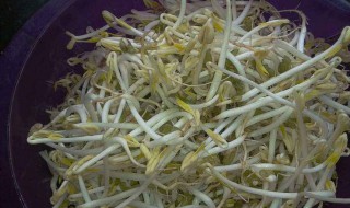 自发豆芽做法图解 清脆又爽口