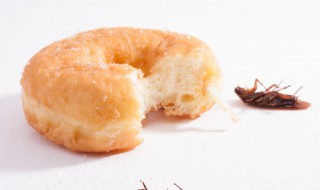 杀蟑螂绝密配方 在家根除蟑螂妙招