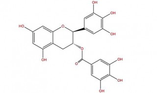 儿茶素的功效与作用 儿茶素是什么