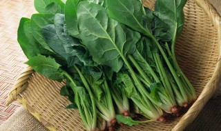 菠菜10月份还能种吗 大家不妨了解一下