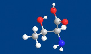 丝氨酸的作用 可以了解一下