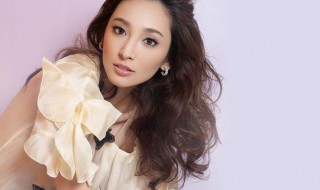 吴佩慈几个儿子 吴佩慈生孩子时间