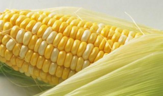 一斤玉米能做多少豆腐 什么是玉米豆腐