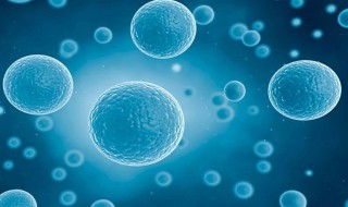 线索细胞有什么危害 万一出现后果很严重