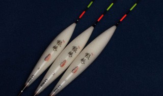 纳米浮漂缺点 纳米浮漂优点和缺点