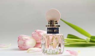 缪缪香水有几种 去看看