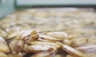 糯米蛏子做法图解 这样做你会吗