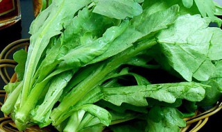 茼蒿菜窝头做法图解 这个味道香呀