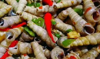 海钉螺的做法 一道极具风味的小菜