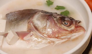 胖头鱼豆腐汤的做法 味道好极了