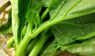 蚕菜汤的做法 简单又好喝