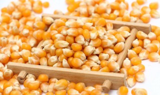 高压锅炸玉米花做法 随吃随做