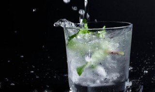 薄荷苏打水的做法 特别简单清爽
