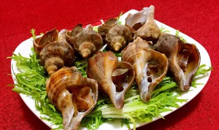 白灼海螺做法图解 不只是简单的水煮