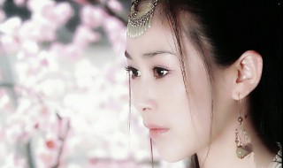 寸心大结局 是什么电视剧