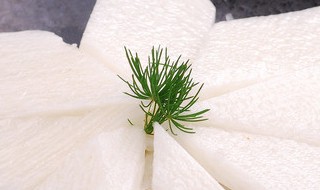 家庭如何水培山药 如何水培种植山药蛋