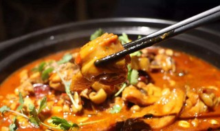 家常炖鸡肉的配方 怎么做好吃