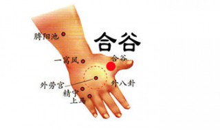 合谷穴的功效与作用 合谷穴在哪