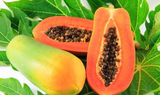 吃木瓜的7大禁忌 来看看吧