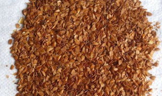 香椿泡酒的功效 带你深入了解它